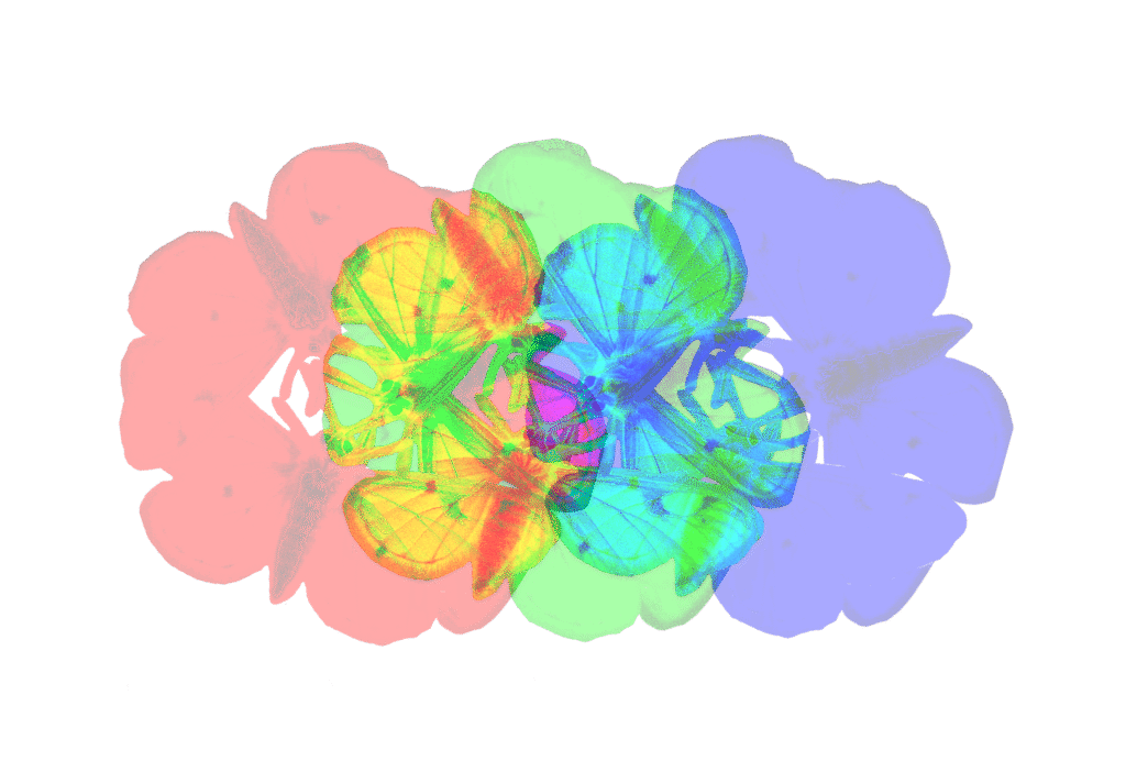 Это изображение имеет пустой атрибут alt; его имя файла - %D0%98%D0%BB%D0%BB%D1%8E%D1%81%D1%82%D1%80%D0%B0%D1%86%D0%B8%D1%8F_%D0%B1%D0%B5%D0%B7_%D0%BD%D0%B0%D0%B7%D0%B2%D0%B0%D0%BD%D0%B8%D1%8F-1-7-1024x712.png